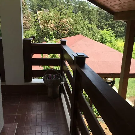 Forest House 게스트하우스