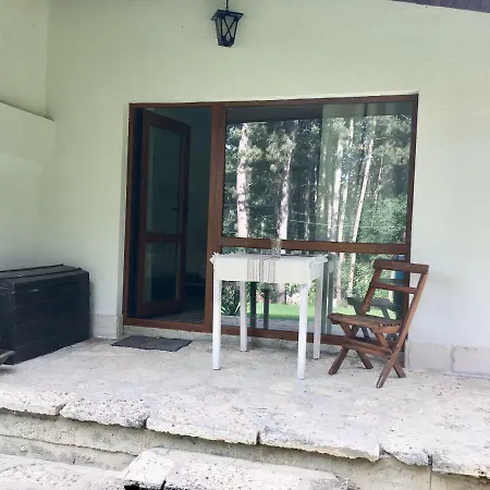 게스트하우스 Forest House 바르나