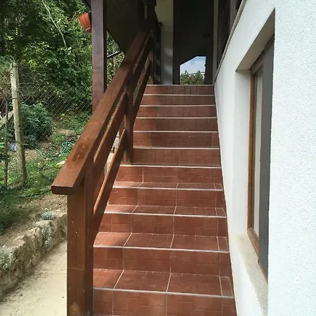 게스트하우스 Forest House