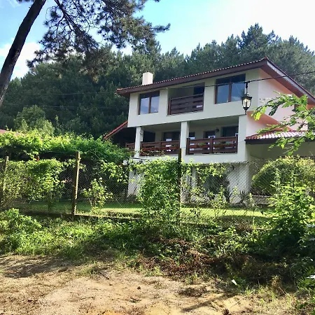 Forest House 게스트하우스