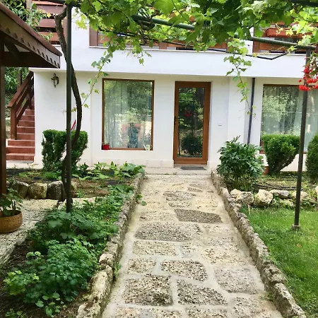 게스트하우스 Forest House