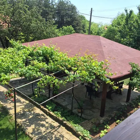 Forest House